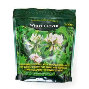 White Clover Seed