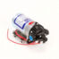 Shurflo-8000-343-236